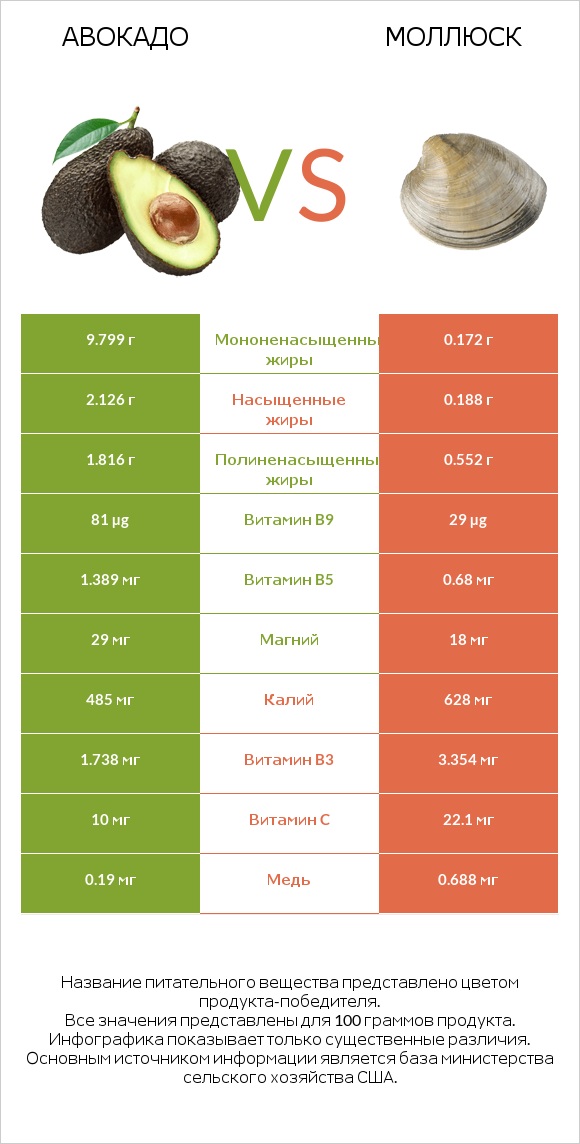 Авокадо vs Моллюск infographic