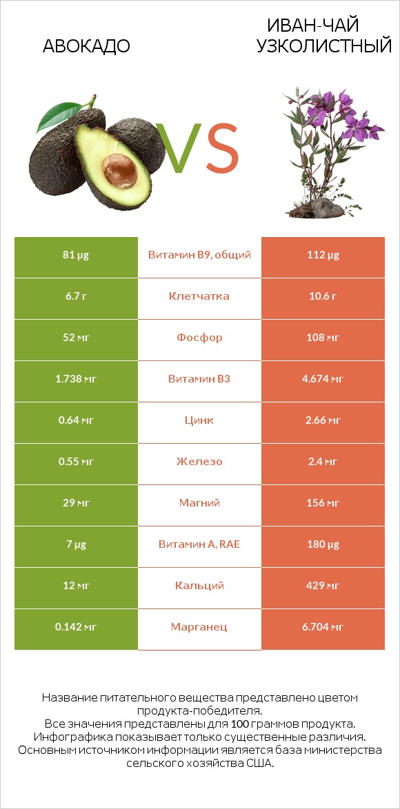 Авокадо vs Иван-чай узколистный infographic
