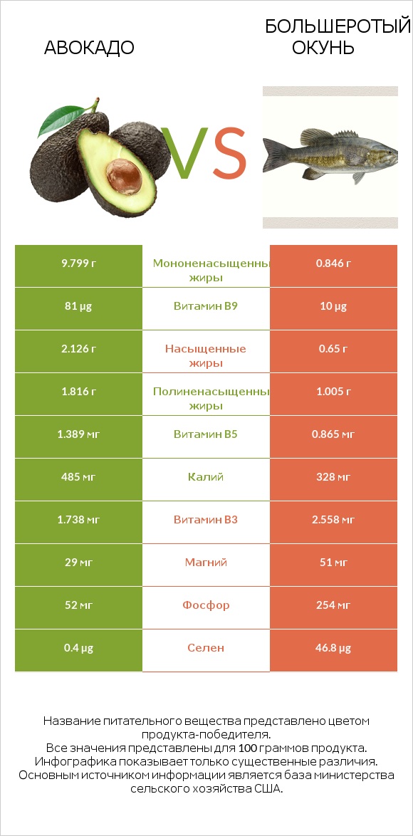 Авокадо vs Большеротый окунь infographic