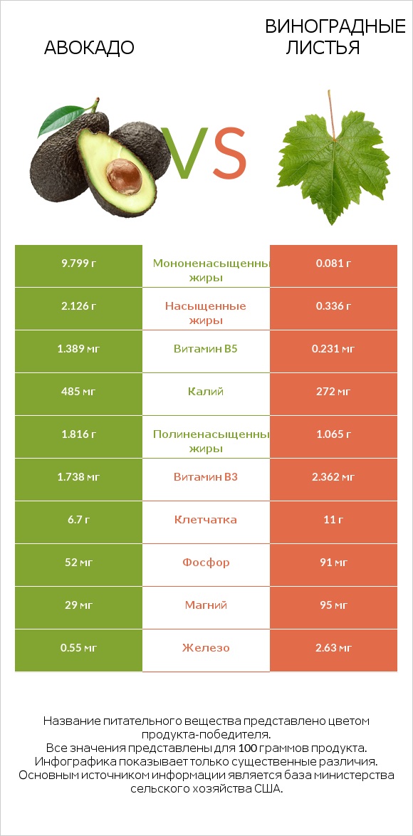 Авокадо vs Виноградные листья infographic