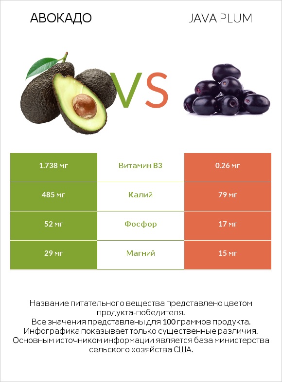 Авокадо vs Java plum infographic