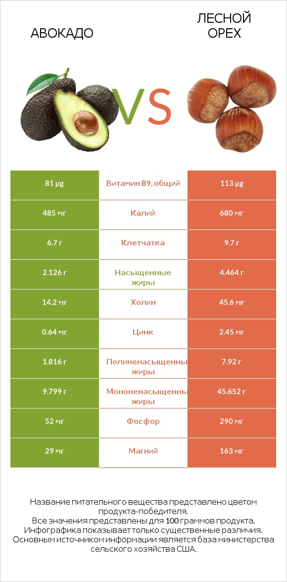 Авокадо vs Лесной орех infographic