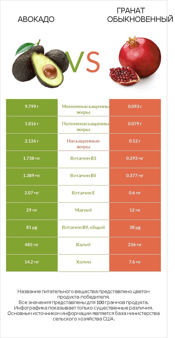 Авокадо vs Гранат обыкновенный infographic