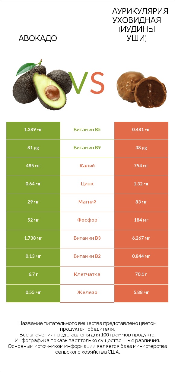 Авокадо vs Аурикулярия уховидная (Иудины уши) infographic