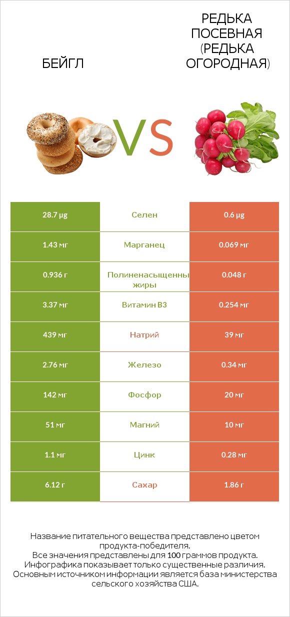 Бейгл vs Редька посевная (Редька огородная) infographic