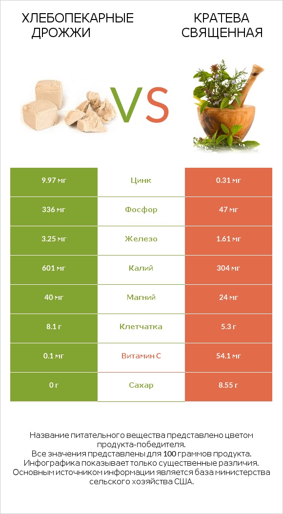 Хлебопекарные дрожжи vs Кратева священная infographic