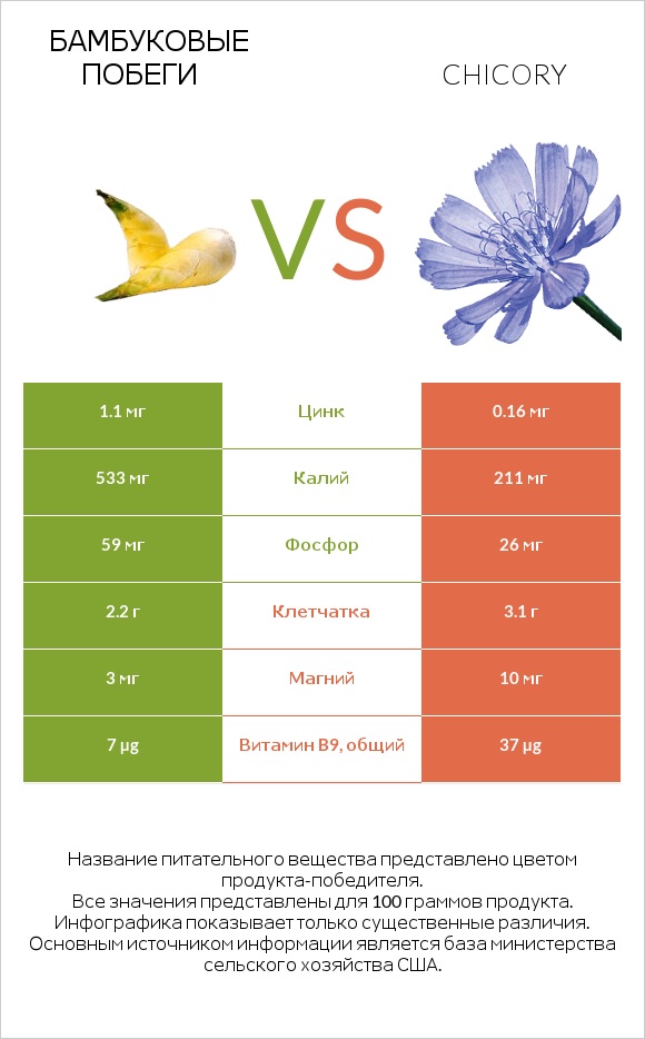 Бамбуковые побеги vs Chicory infographic