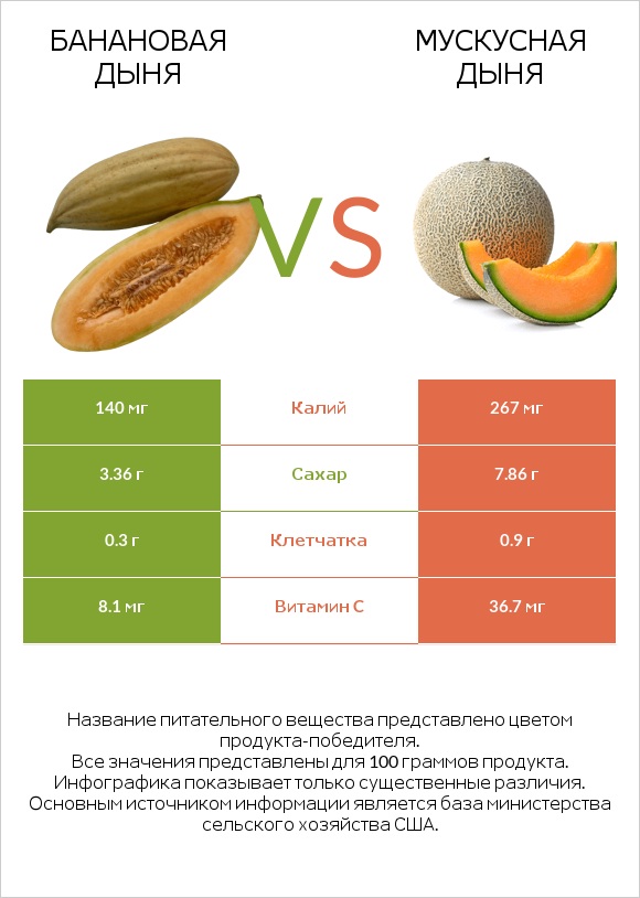 Банановая дыня vs Мускусная дыня infographic