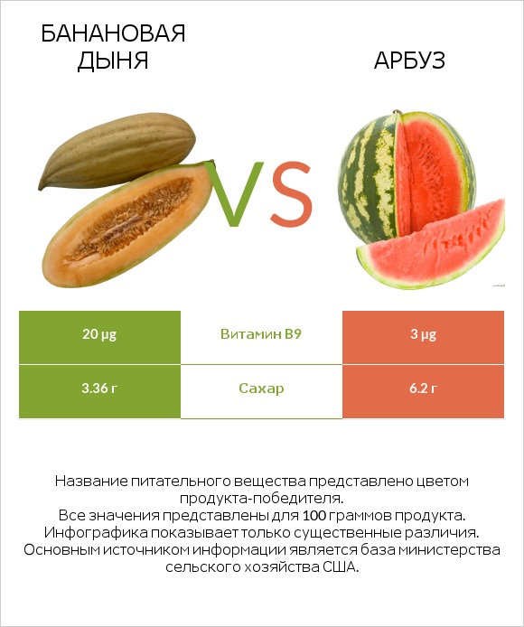 Банановая дыня vs Арбуз infographic