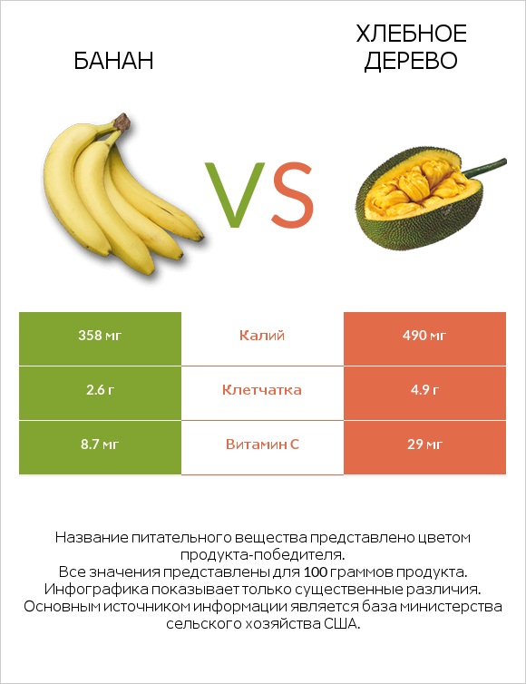 Банан vs Хлебное дерево infographic