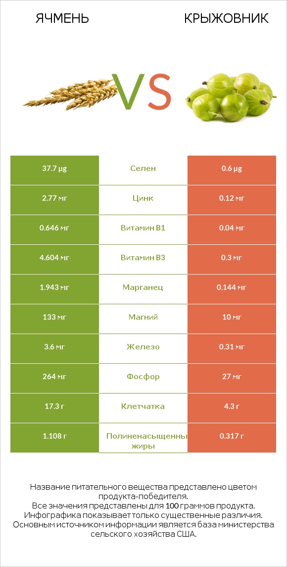 Ячмень vs Крыжовник infographic