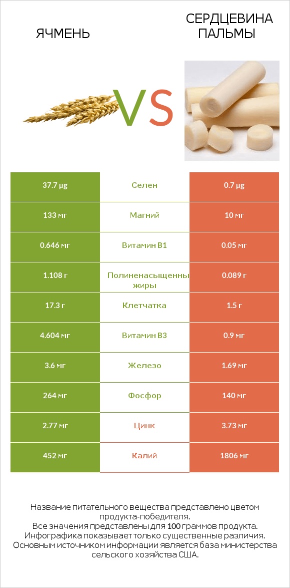 Ячмень vs Сердцевина пальмы infographic