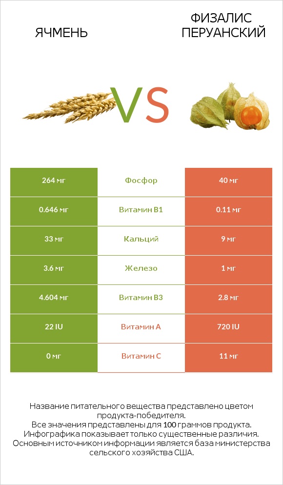 Ячмень vs Физалис перуанский infographic