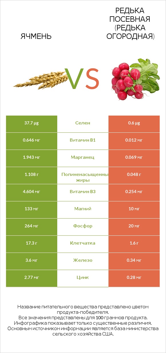 Ячмень vs Редька посевная (Редька огородная) infographic