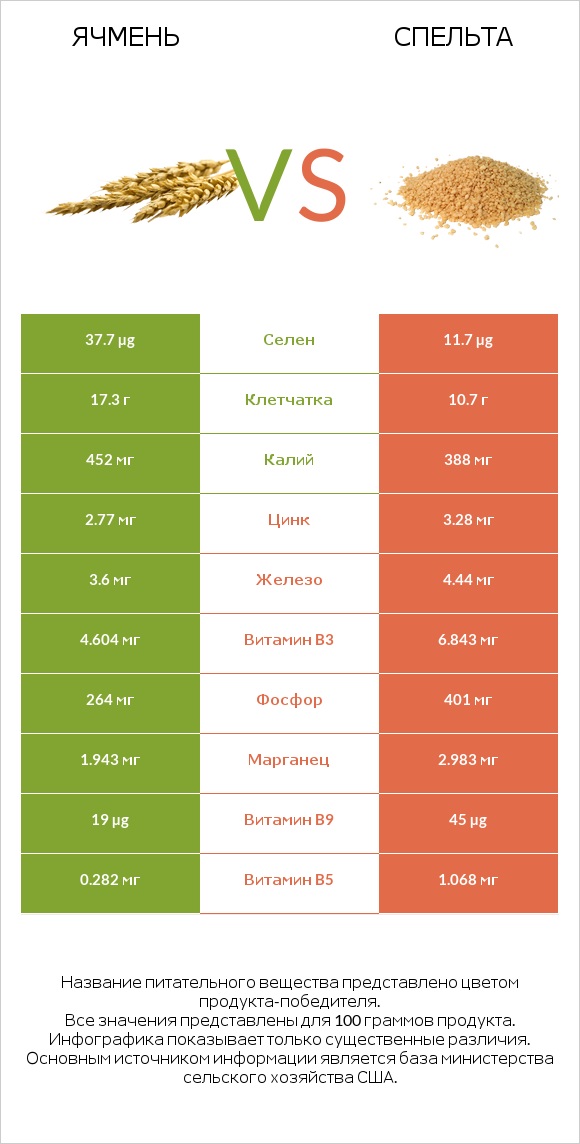 Ячмень vs Спельта infographic