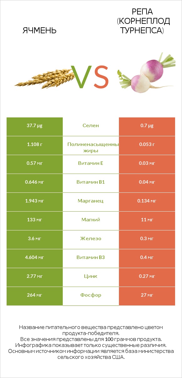 Ячмень vs Репа (корнеплод турнепса) infographic