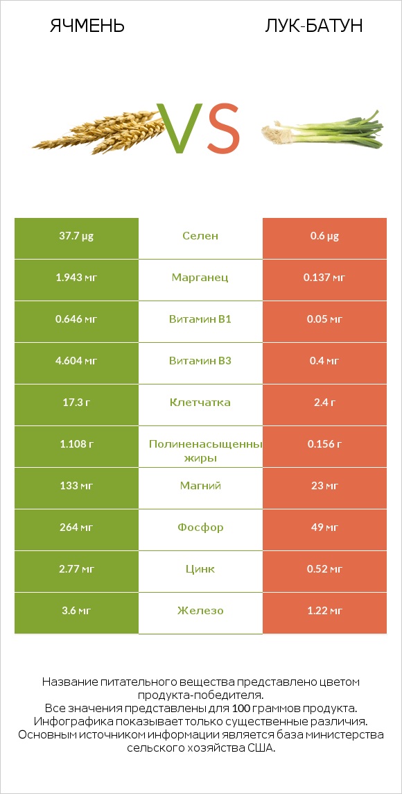 Ячмень vs Лук-батун infographic