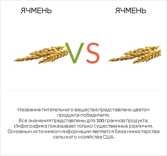 Ячмень vs Ячмень infographic