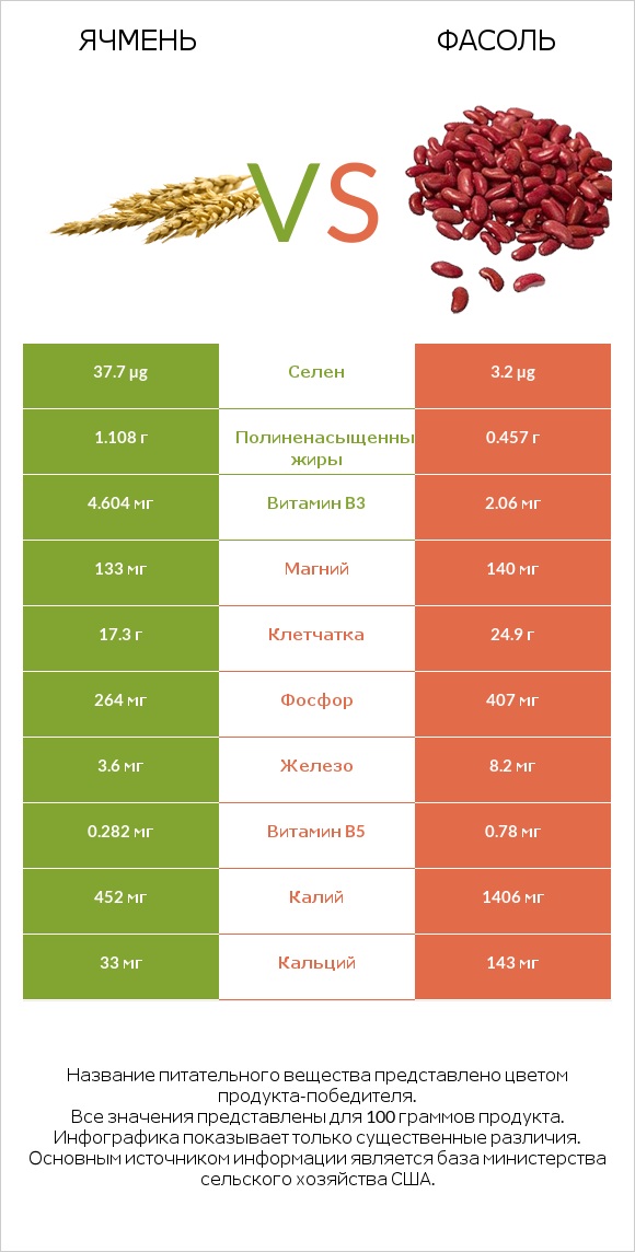 Ячмень vs Фасоль infographic