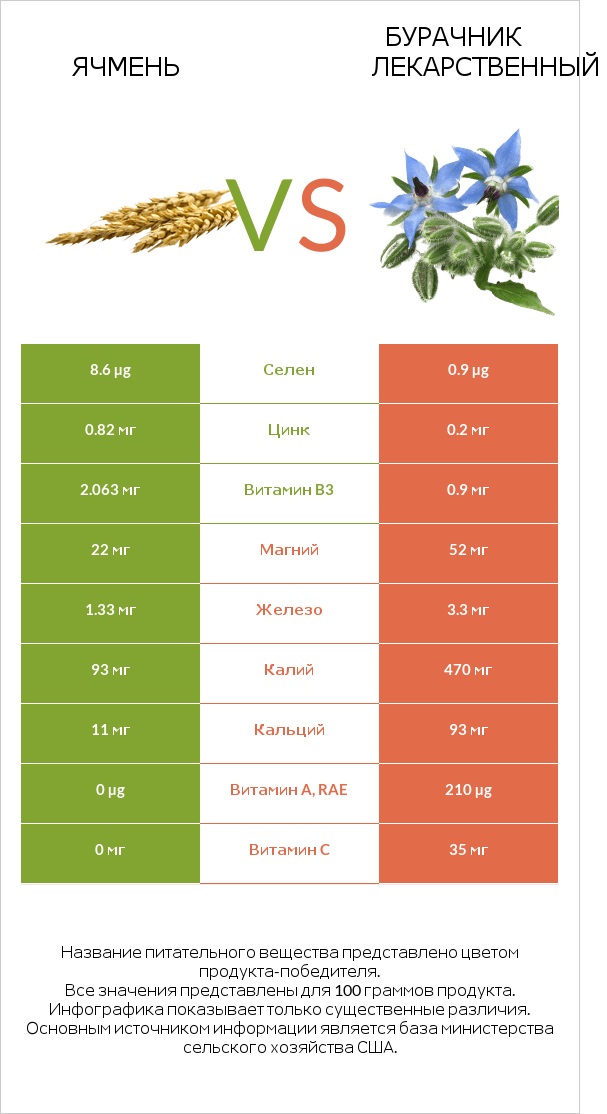 Ячмень vs Бурачник лекарственный infographic