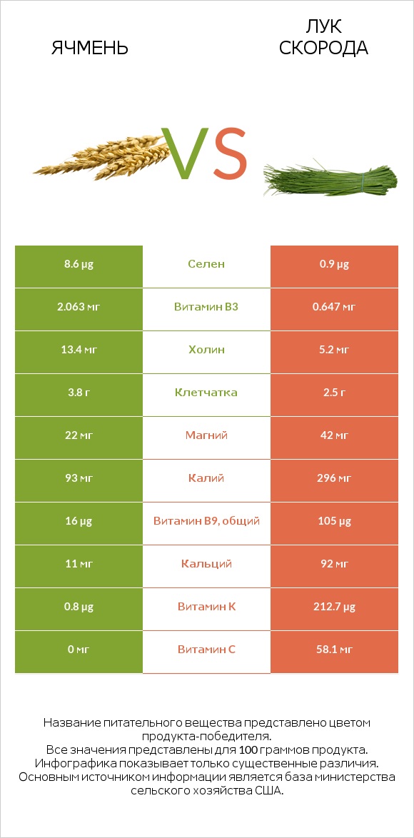 Ячмень vs Лук скорода infographic