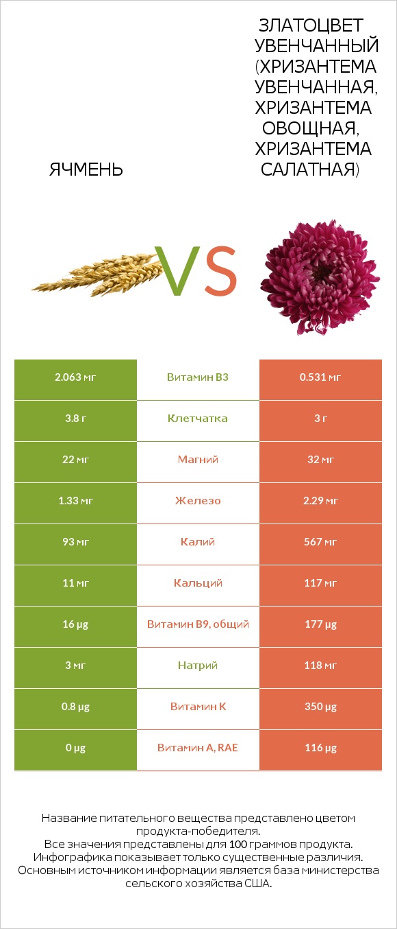 Ячмень vs Златоцвет увенчанный (хризантема увенчанная, хризантема овощная, хризантема салатная) infographic