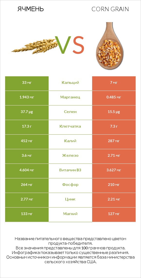 Ячмень vs Corn grain infographic