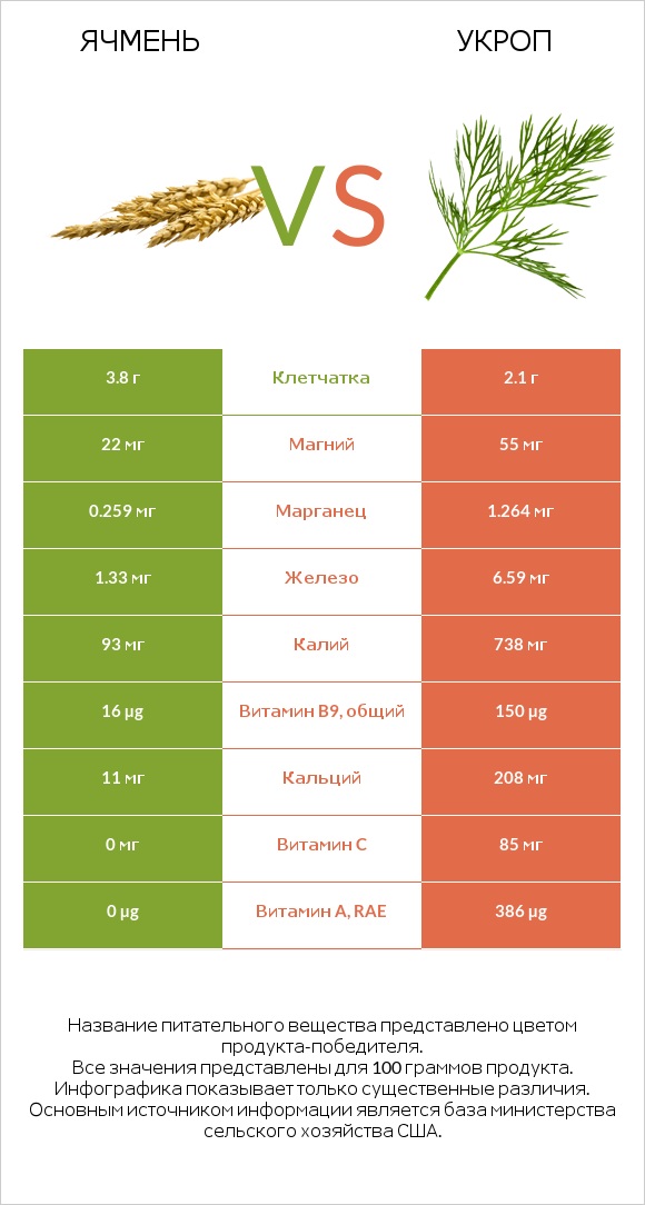 Ячмень vs Укроп infographic