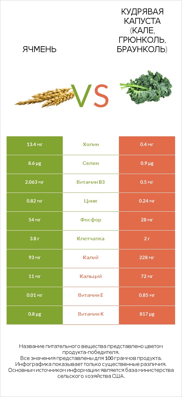 Ячмень vs Кудрявая капуста (кале, грюнколь, браунколь) infographic