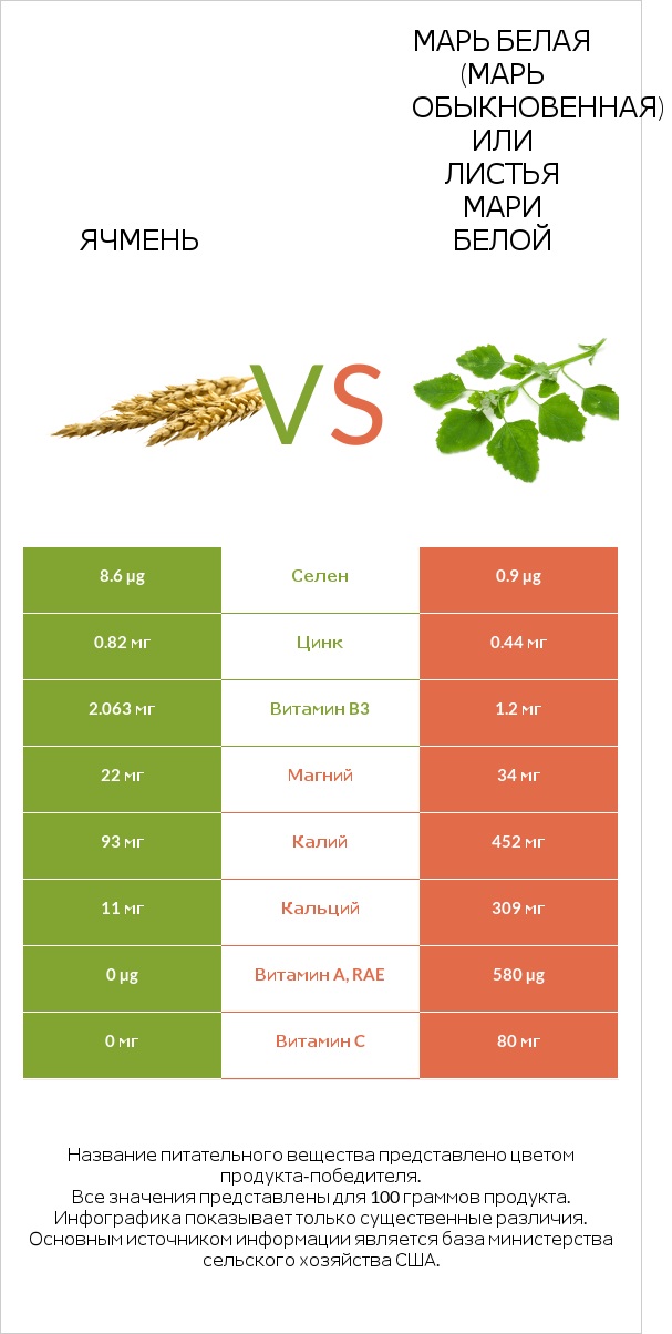 Ячмень vs Марь белая (Марь обыкновенная) или Листья мари белой infographic