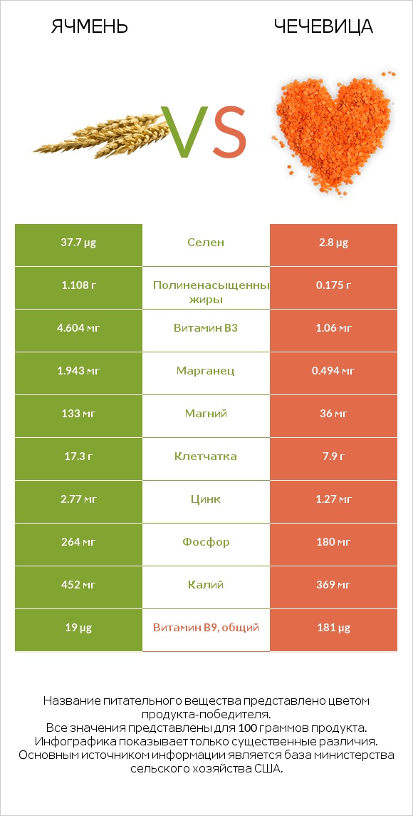 Ячмень vs Чечевица infographic