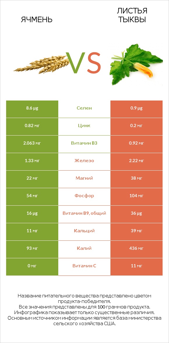 Ячмень vs Листья тыквы infographic