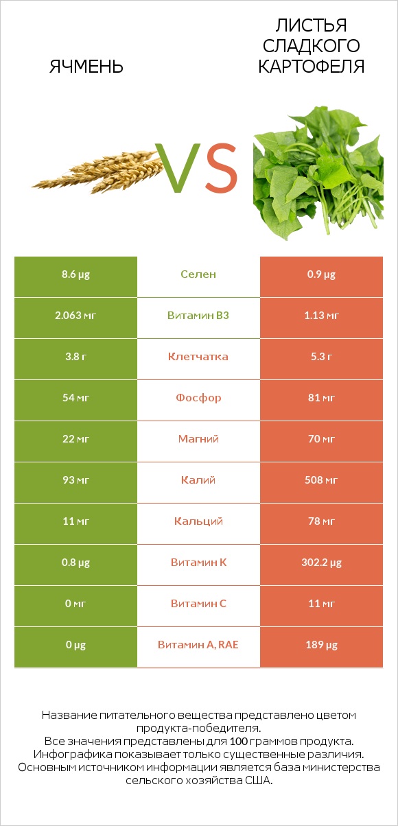 Ячмень vs Листья сладкого картофеля infographic