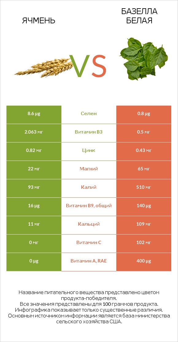 Ячмень vs Базелла белая infographic