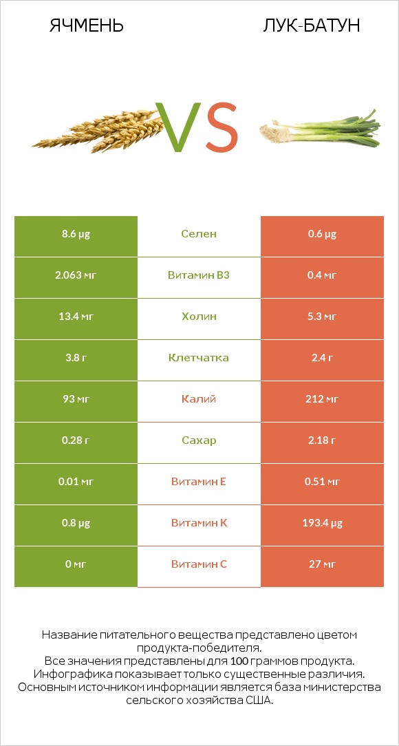 Ячмень vs Лук-батун infographic