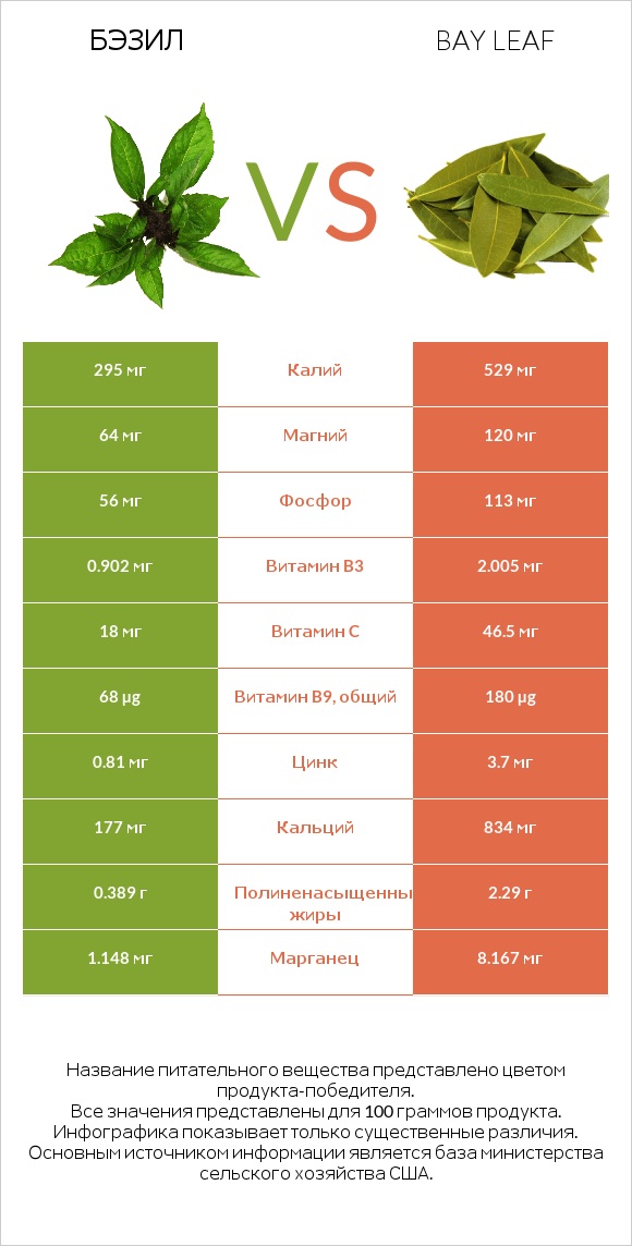 Бэзил vs Bay leaf infographic