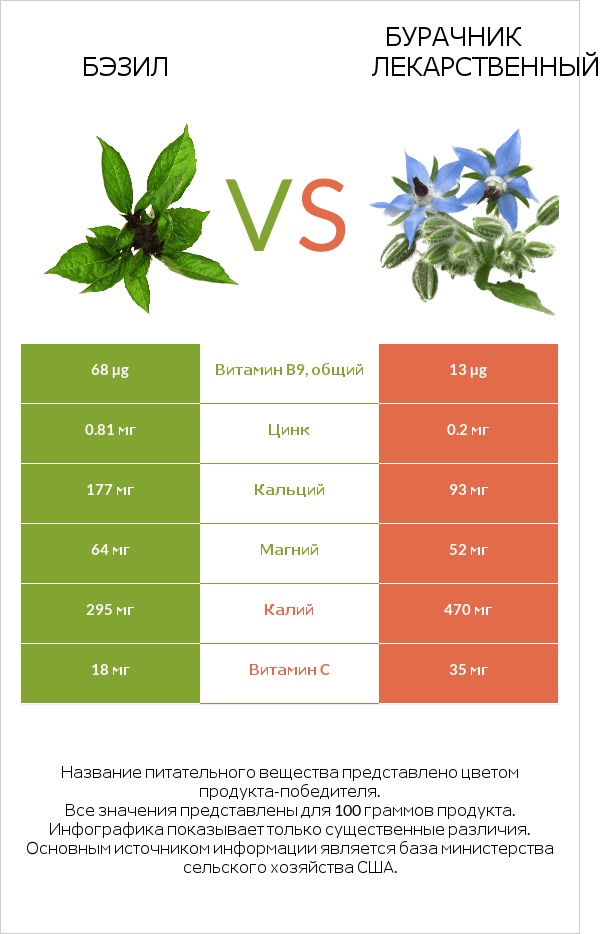 Бэзил vs Бурачник лекарственный infographic