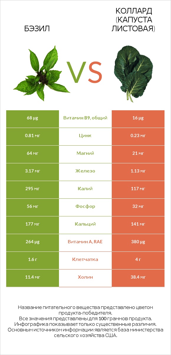 Бэзил vs Коллард (капуста листовая) infographic