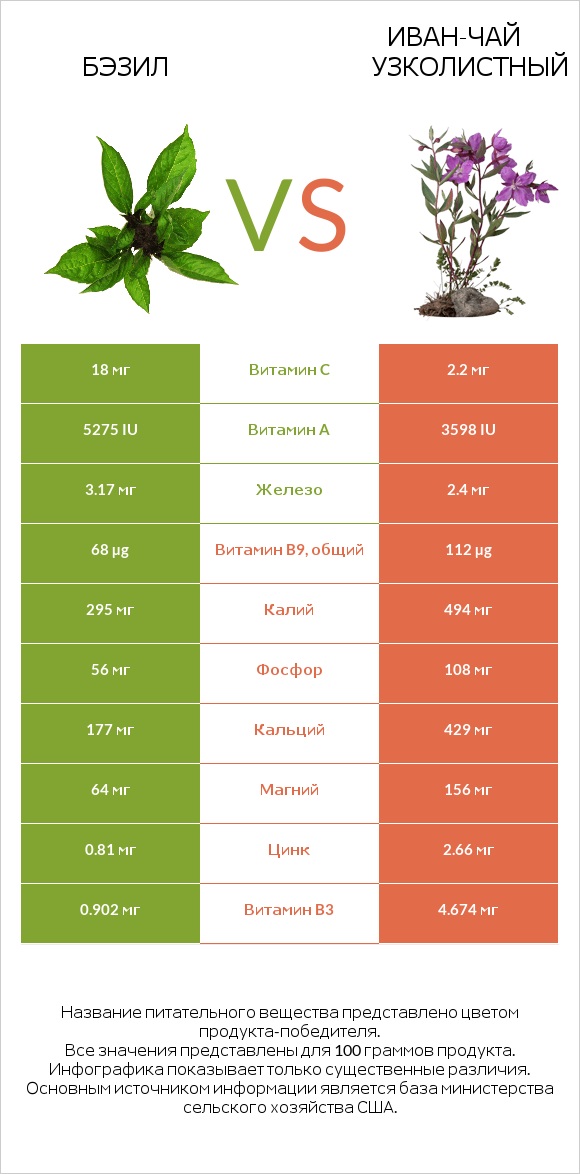 Бэзил vs Иван-чай узколистный infographic