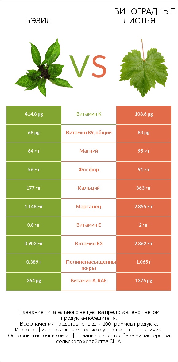 Бэзил vs Виноградные листья infographic