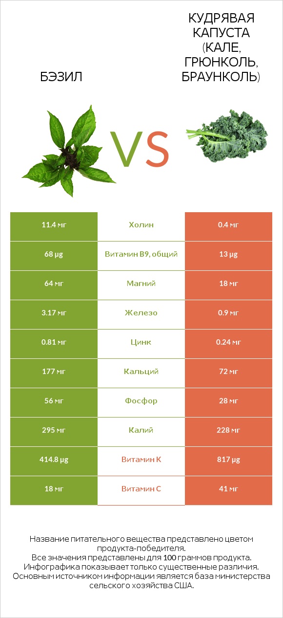 Бэзил vs Кудрявая капуста (кале, грюнколь, браунколь) infographic