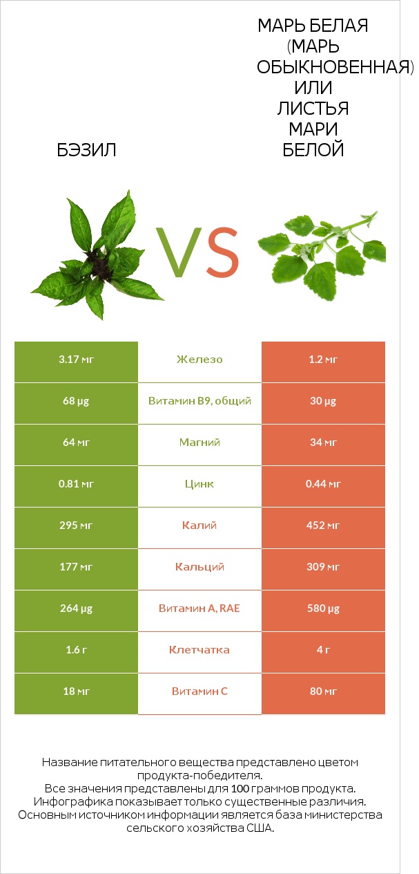 Бэзил vs Марь белая (Марь обыкновенная) или Листья мари белой infographic