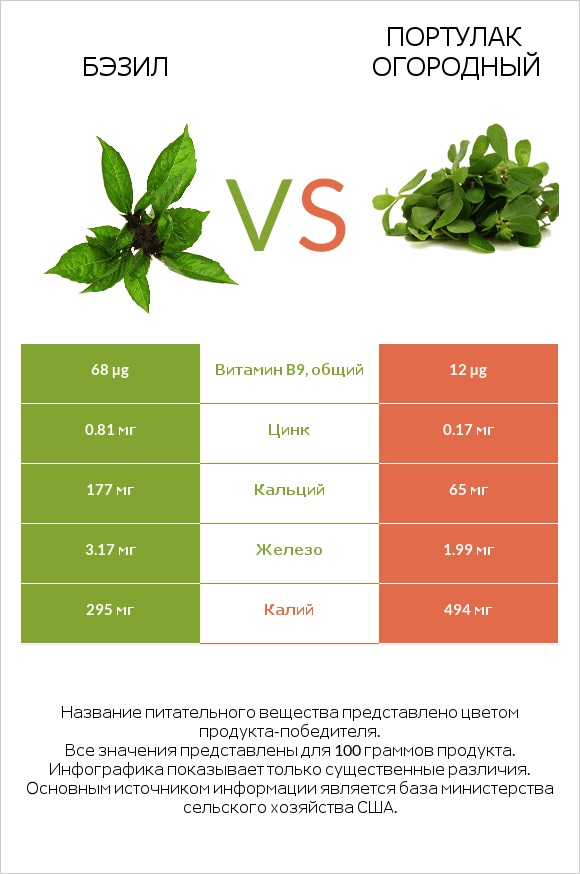 Бэзил vs Портулак огородный infographic