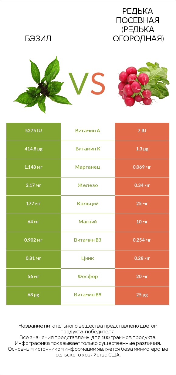 Бэзил vs Редька посевная (Редька огородная) infographic