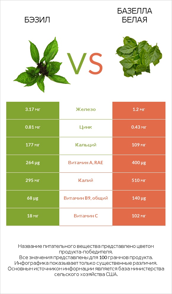 Бэзил vs Базелла белая infographic