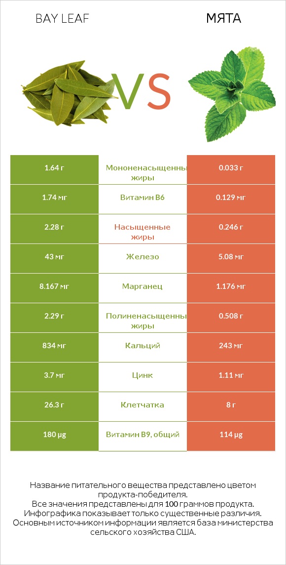 Bay leaf vs Мята infographic