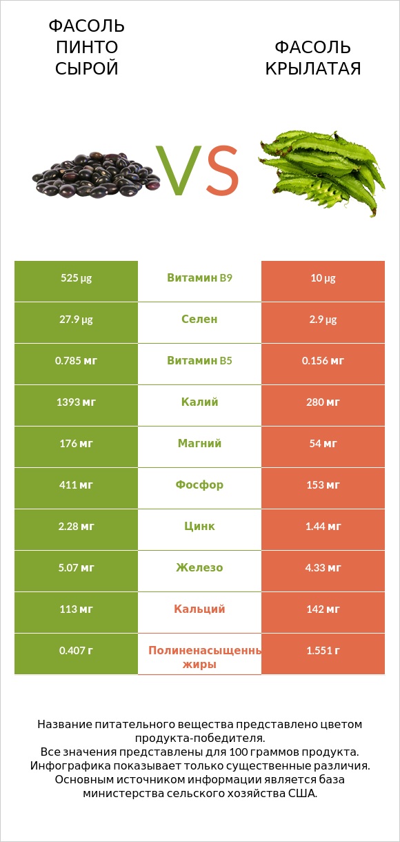Фасоль пинто сырой vs Фасоль крылатая infographic