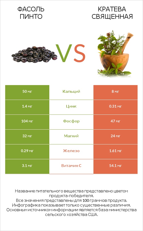 Фасоль пинто vs Кратева священная infographic