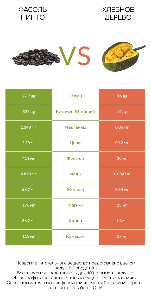 Фасоль пинто vs Хлебное дерево infographic