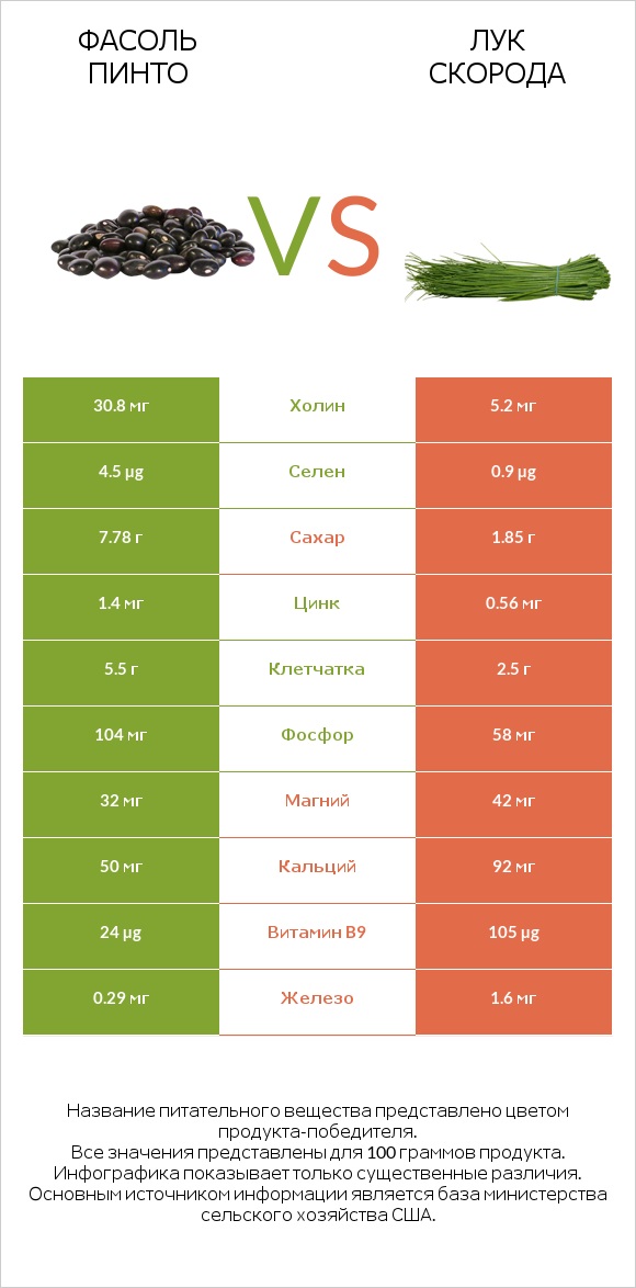 Фасоль пинто vs Лук скорода infographic